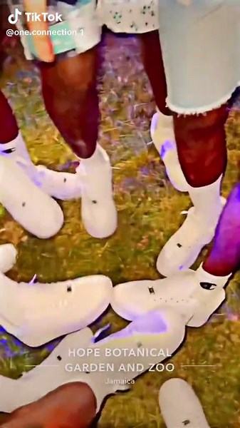 AF1️⃣ The Family Guh🔗💲🔥@Wilelife_Fashion #ratbat🦇 #1connection🔗 #fyp #foryoupage #trending