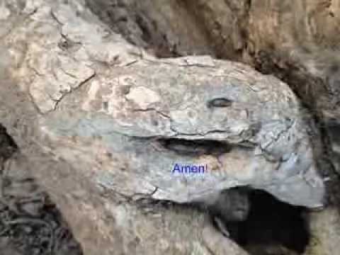 Kaddish - English translation