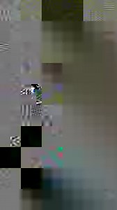 8M views · 10K reactions | [Kpop Live Performances + Entertainment = Dingo Music] Wanna watch video contents your bias’ appeared in? Go to #DingoMusic right now! | Dingo Music (딩고 뮤직) | Facebook