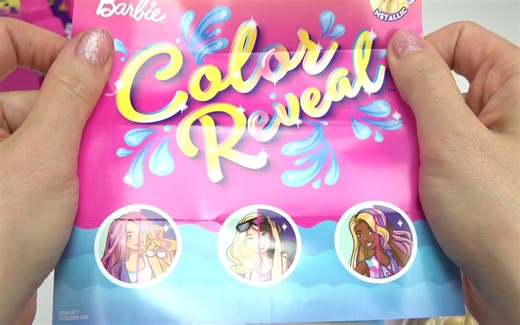 【Toy Caboodle】芭比娃娃 惊喜海滩系列 25种惊喜