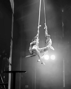 Incredible straps duet performance from @duosweetserendipity!  #aerialartsassoc . . . #aerialartsassoc #aerialarts #aerialfabric #aerialhoop #aerialist #aerialsilks #aerialtraining #lyra #circuseveryday #flip #aerialapparatus #circusfitness #aeriallyra #fortheloveofaerial #lifegoals #strong #trapeze #aerialofig #aerialhoopartist #aerialhooptricks #aerialfitness #lyrahoop #aerialtricks #bendy #aerialhooptransitions #circus #aerialdance #cirqfit | Aerial Arts Association | Facebook