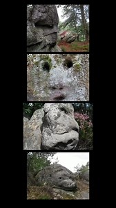 Fontainebleau Forest, France 🇫🇷 #TheRocksWereAlive | Sib Sibby