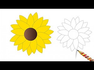 How to Draw a Daisy Yellow Flower - Easy Flower Drawing & Coloring