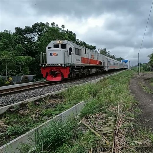 Kereta Api Pandanwangi Lokomotif cc 201 83 07