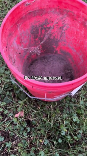 Backyard Science Experiment #viral #nasa #science