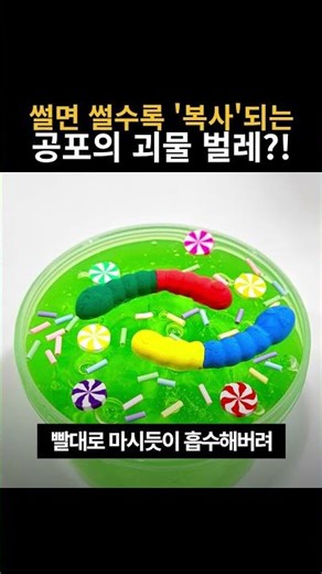 썰면 썰수록 '복사'되는 공포의 괴물 벌레?! #생태계교란종 #망치머리벌레 #희귀생물
