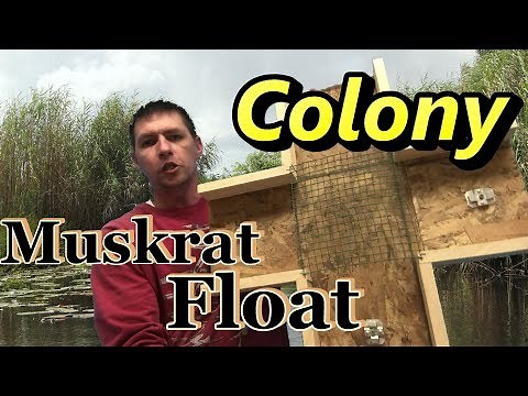 TRAPPERS Only Colony Muskrat Float.