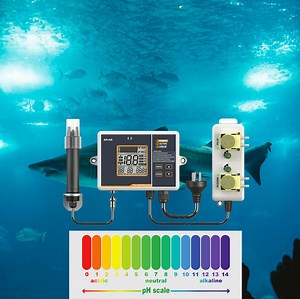 [Hot Item] Intelligent pH Meter with Two Relays Automatic Dosing Pump for Water Treatment pH Adjustment