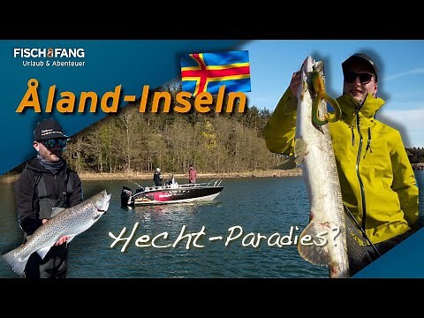 Pike and sea trout in Åland! Spin fishing among 6,000 islands! 🎣