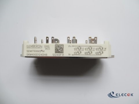 IGBT Module SKM40GD124DH8