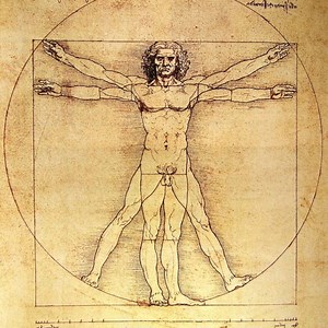Anatomia desenho: estudo completo do corpo humano - [Netter e Moore]