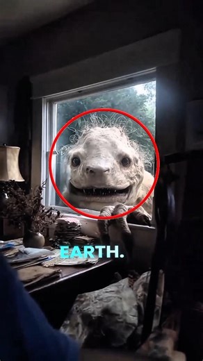 Top 5 Deadliest Predators on Earth 😨 #animalfacts #wildfacts #shorts