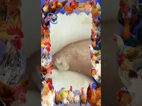 8M Plant vs Zombie Hacker 999990 Zombies In Survival Plants vs zombies hack Menu Pvz mod Ep177