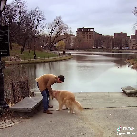 s1 🎻👜👢#gossipgirl #gossipgirledit #xoxogossipgirl #foryoupage #fyp