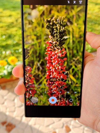 Samsung Zoom: Features and Details