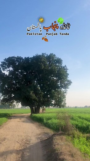 Paka Pyar Tanda: Exploring Tanda, Punjab