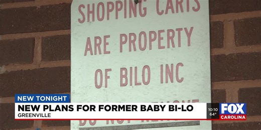 After years of vacancy, Greenville's former Baby Bi-Lo gets shopping development approval