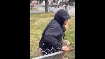 Wolf Had To Show That Boy He Still Had Some Power Left In Him! - The Grand Report