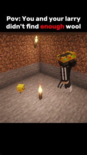 First Night In Minecraft #minecraft #relatable #usa