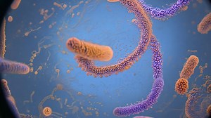 Microscopic view of bacteria cells Premium Stock Video Footage