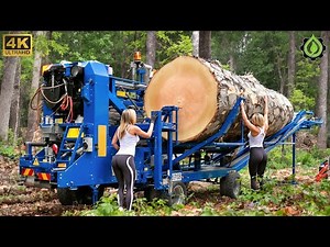 Fastest Biggest Firewood Processing Machine | Dangerous Big Chainsaw Cutting Tree machines #1