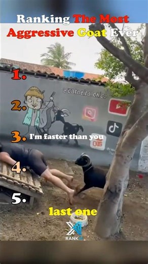 Ranking The Most Savage Goat Attacks 🐐 #goat #atack #savagereply