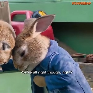 3.1K views · 19 reactions | TOP MOVIE NETFLIX TODAY | Constantine Maroulis | Facebook