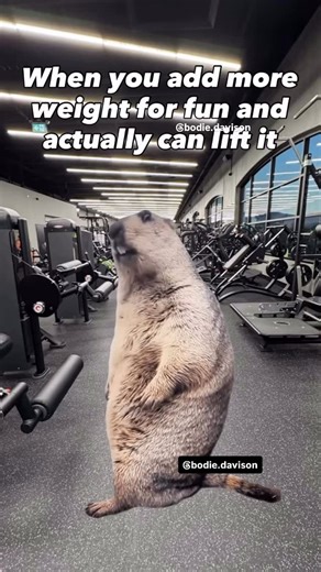 Bodie on Instagram: "Wow 💪 Share with a friend ✅ #gymmemes #gym #fitness #gymmotivation #gymlife #bodybuilding #gymmeme #fitnessmotivation #fitnessmemes #workout #memes #gymhumor #gymtime #gymrat #gymshark #fit #gymlifestyle #fitnessmeme #gymfunny #bodybuildingmemes #liftingmemes #gymhumour #motivation #gymnastics #bodybuildingmeme #workoutmemes #gymfails #funnygymmemes #gymaddict #memes Has this ever happened to you?"
