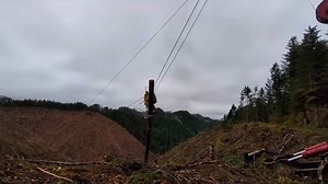 Precision Logging With Cutting Edge Forestry Machinery