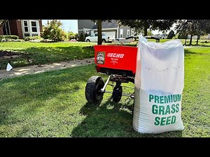Seeding Success: Our Overseeding Process + Pricing Explained
