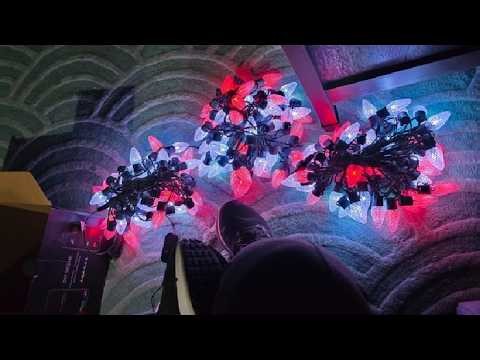 C9 Smart Christmas String Light Indoor Outdoor Review