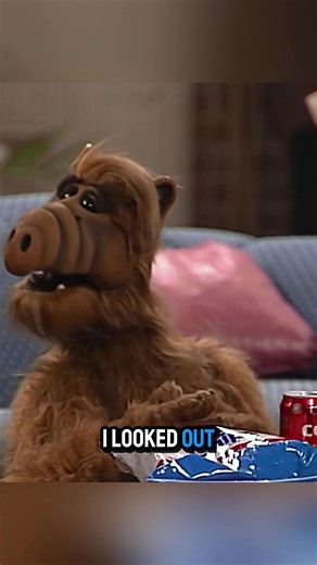 #alftvshow #alf #alftv #s #alien #alienlifeform #alledible #gordonalfshumway #alienlife | A.L.F Show Best
