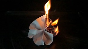 8.2K views · 174 reactions | Footage by the talented, Carly Yamarick (https://www.instagram.com/carlyyam/) - "Hearing" is from the Sleeping At Last album, "Atlas: Senses" - get it here: https://open.spotify.com/album/2xxEGc4lJ7cKvOtOdvxByn What's a "Micro Music Video"? A tiny, simple and hypnotizing video accompaniment to my songs. Rather than seeing a static image, I loved the idea of having a visual to get lost in while listening. | Sleeping At Last | Facebook