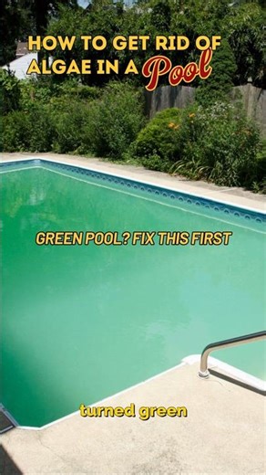 How to Get Rid of Pool Algae Fast 💚 Green, Black & Mustard Treatment Guide