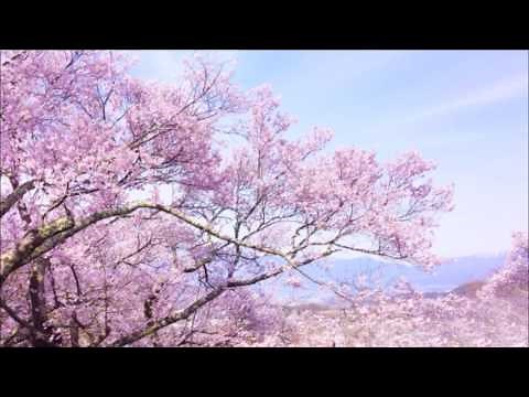 【作業用BGM】心落ち着く日本の古風な音楽【Japanese Traditional BGM】