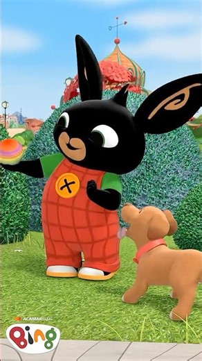Bing wants to keep the dog! 🐶 | #Shorts | Bing Shorts