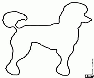 The silhouette of a large poodle coloring page printable game