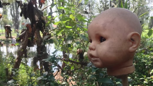 This Mexican hermit spent 17 years hanging 4,000 dolls from trees