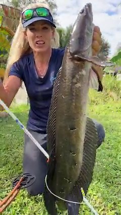 178K views · 3.5K reactions | Girl Bowfishing Invasive Bullseye Snakehead! | Darcizzle Offshore | Facebook