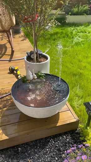 5.2K views · 28 reactions | Solar Fountain, Floating Solar Powered Water Fountain Pump for Bird Bath, Garden, Pond, Pool, Outdoor #garden #gardening #solar #fountain #floating -7221503386875677998 | Grafting Planting | Facebook