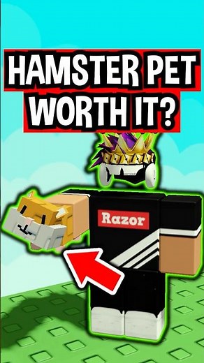 HAMSTER PET in Roblox Grow a Garden..