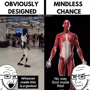 Atheist logic😬 | Genesis Movie