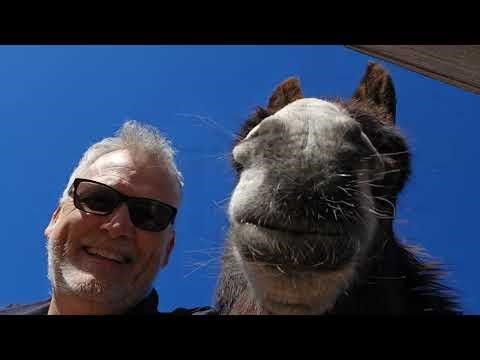 1968 Chevrolet Chevelle #Video