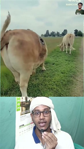 Top Learning Tools for Tech 🔥Enthusiasts | গরুর চিকিৎসা প্রক্রিয়া এবং ডিভাইস ব্যবহার 🐄 #shorts