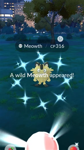GOT SHINY WILD MEOWTH IN POKEMON GO ✨#pokemongo #pokemonchannel #shinypokemon #meowth