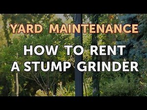 How to Rent a Stump Grinder