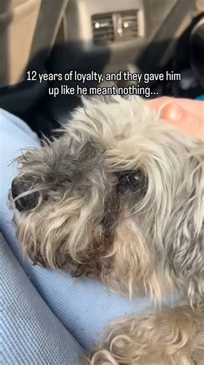 3.1K reactions · 370 shares | Caesar gave his whole life to his...