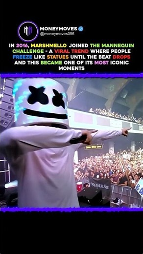 Marshmello Froze the Whole Crowd in 2016 🎶