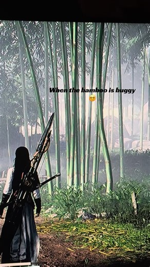 Discovering Bugs in Where Winds Meet Game