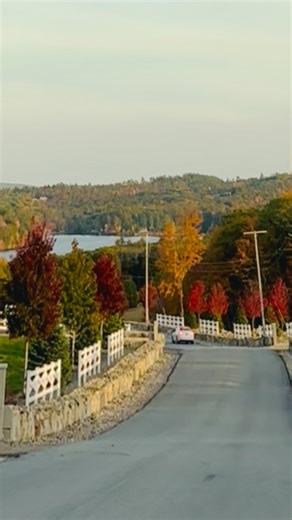 Nature's beauty at its finest #naturelovers #lakes #trees #landscape #garden #outdoors | Ginger Kitchen